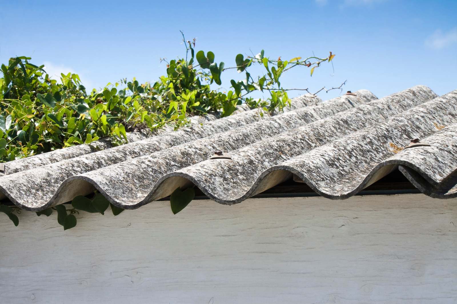 Non-Friable Asbestos Course