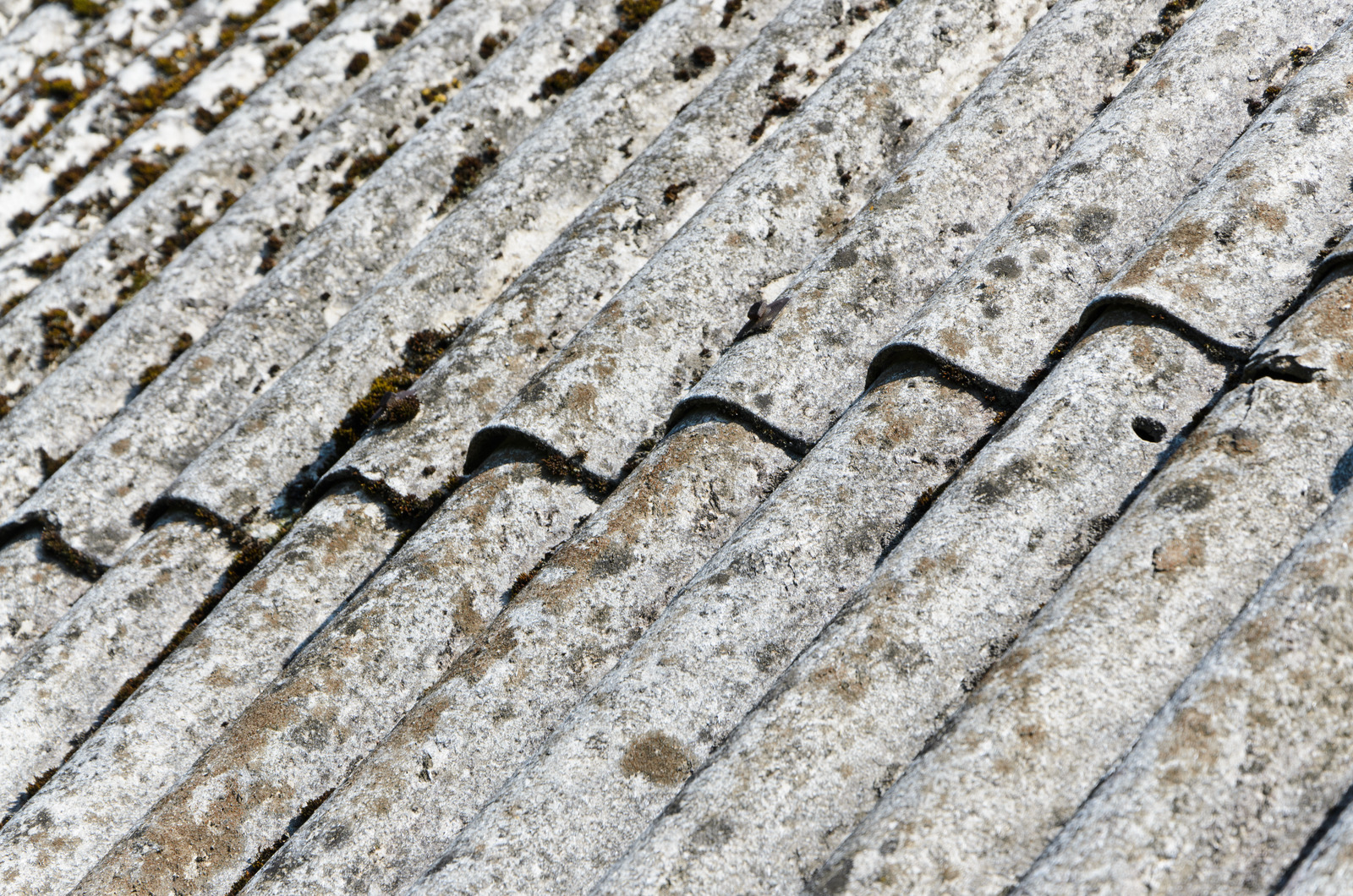 Asbestos Removal Training