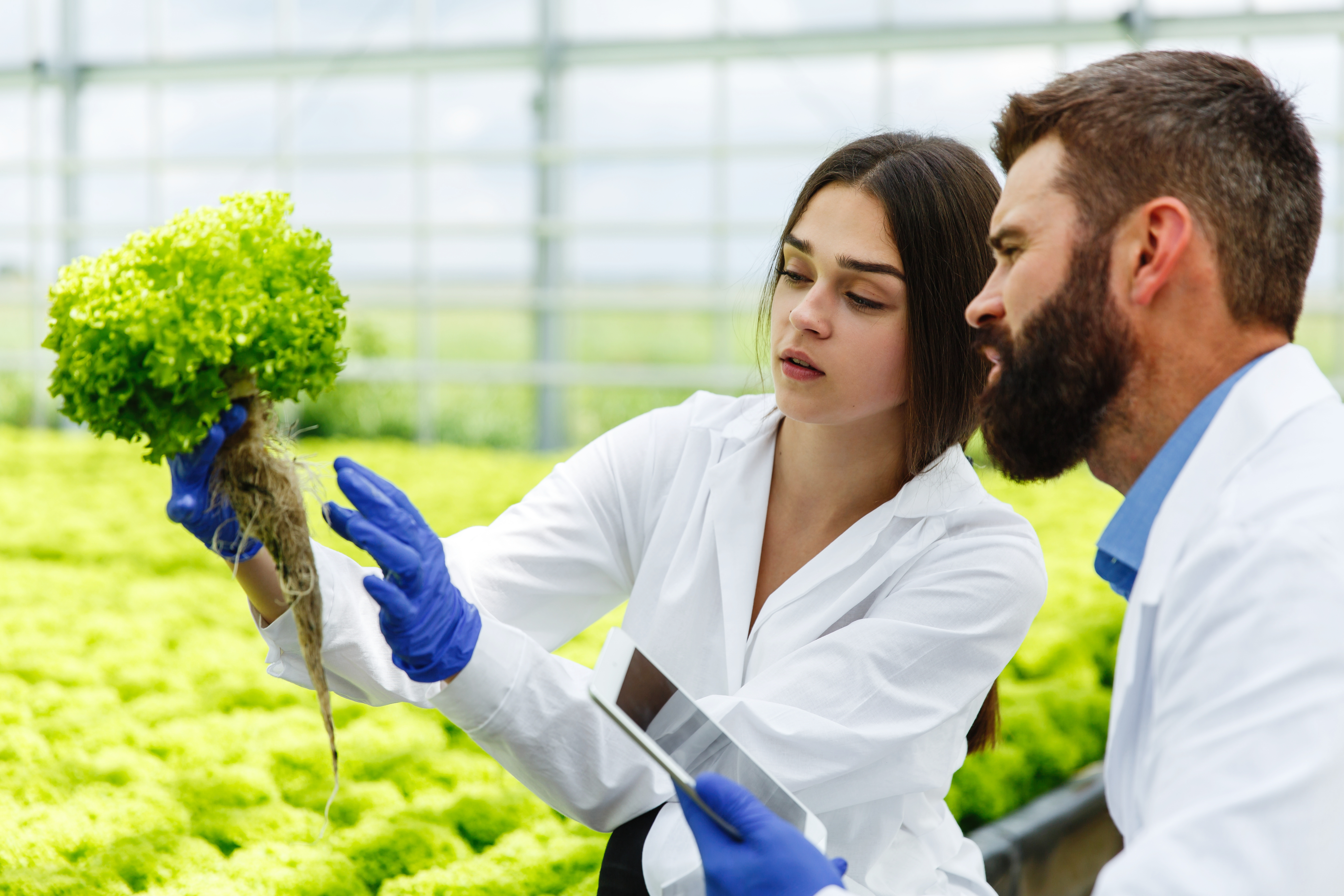 Food Safety Supervisors in Action